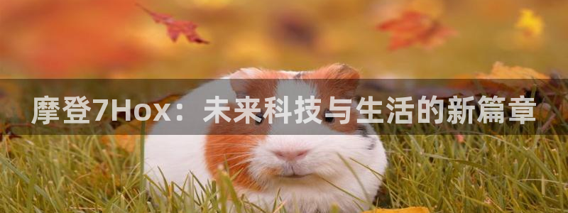 500彩票网官网