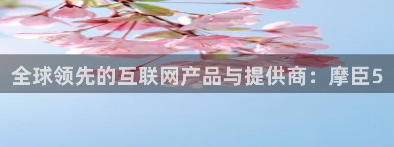 凯利指数欧赔500网