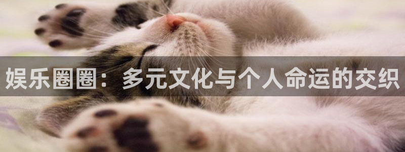 足球昨天比赛结果查询500网