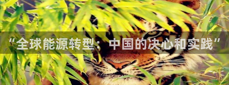 500网球赛