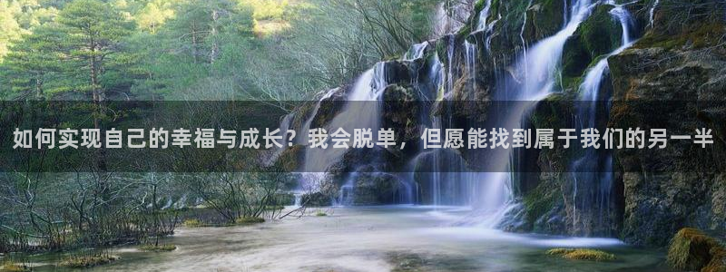 500网凯利指数