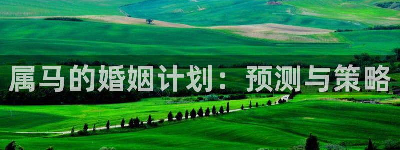 足球比赛直播500网