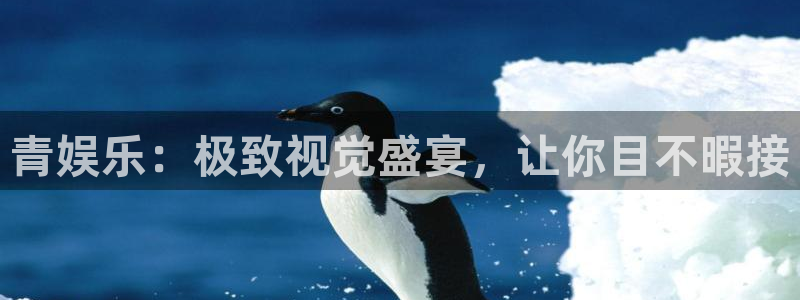 500网官网入口
