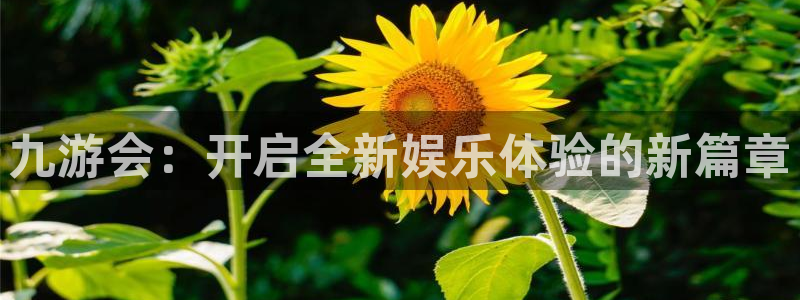 今天比赛结果查询500网