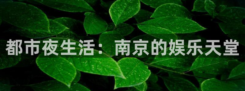 500网足球比分