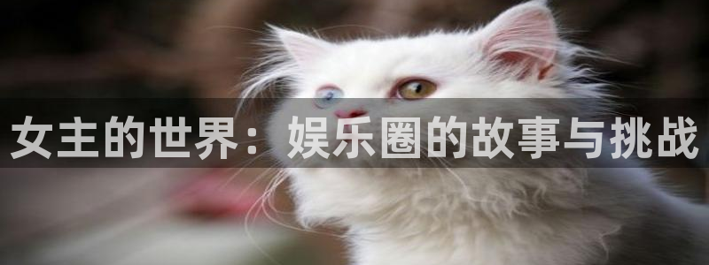 500网凯利值指数