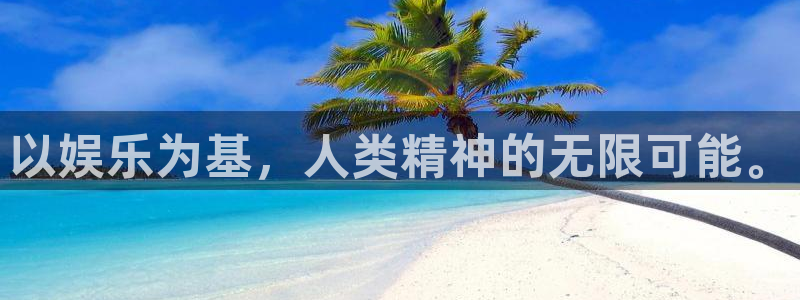 比分500网