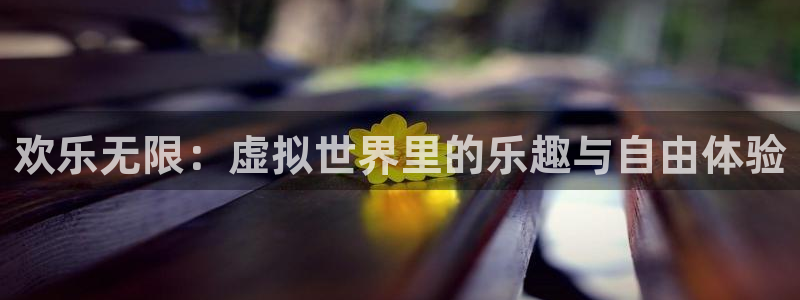 500网足球比分