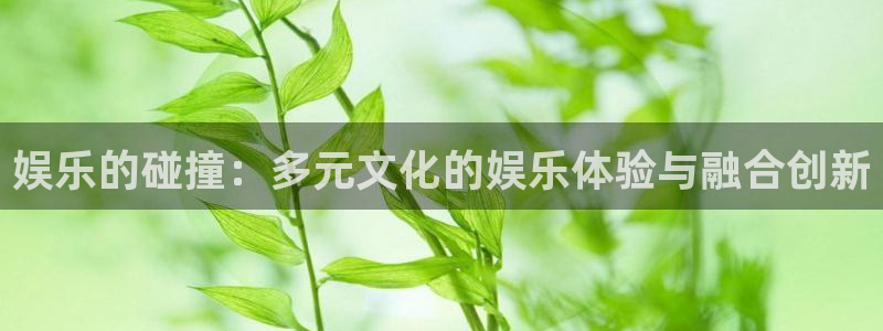 足球比分500网