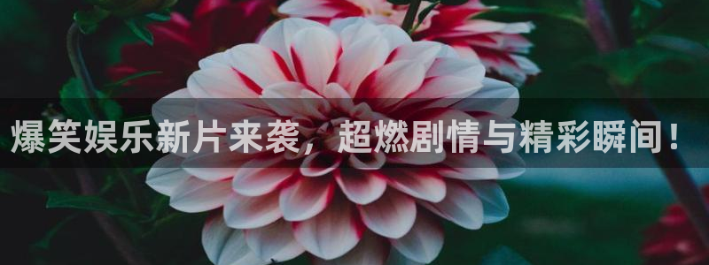 500网足球比分