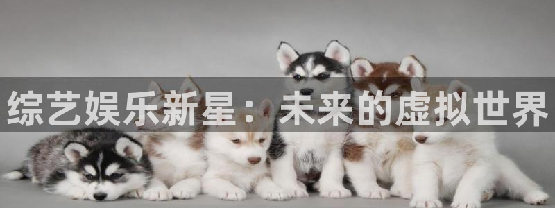 即时比分捷报比分500网