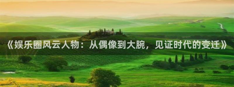 500网app官网下载
