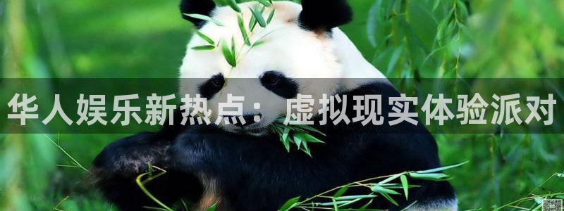 足球比赛结果查询500网