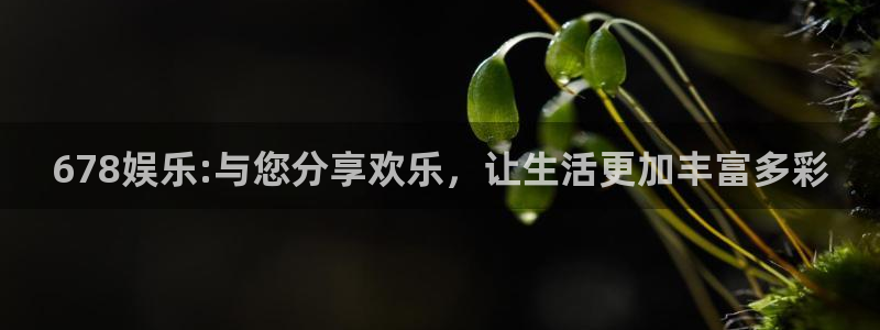 500网仅提供数据和内容