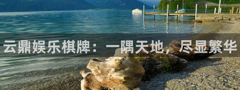 500网么能看出结果
