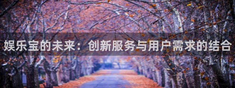 500网三地试机号：娱乐宝的未来：创新服务与用户需求的结合