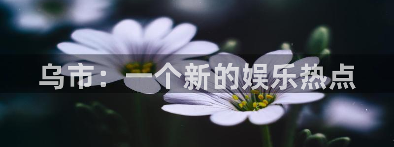 500网app是什么软件：乌市：一个新的娱乐热点