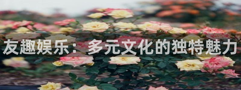 足球比赛500网：友趣娱乐：多元文化的独特魅力