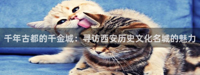 500彩票网官网：千年古都的千金城：寻访西安历史文化名城的魅力