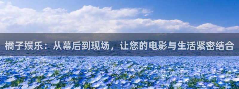500网官方下载：橘子娱乐：从幕后到现场，让您的电影与生活紧密结合