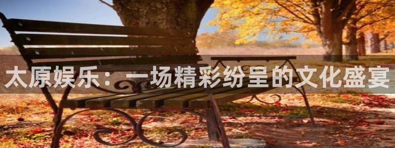 500网官网入口：太原娱乐：一场精彩纷呈的文化盛宴
