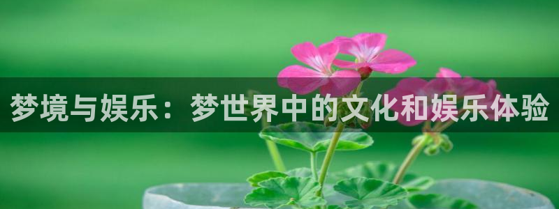 500网球赛：梦境与娱乐：梦世界中的文化和娱乐体验