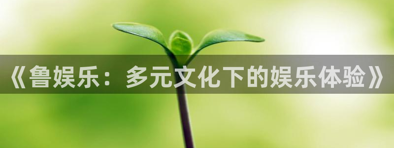 500网app：《鲁娱乐：多元文化下的娱乐体验》