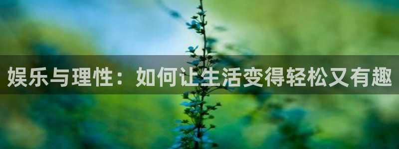 500网官方下载：娱乐与理性：如何让生活变得轻松又有趣