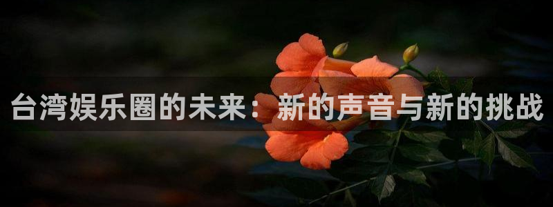 500网每年十月份赠送彩金是真的吗：台湾娱乐圈的未来：新的声音与新的挑战