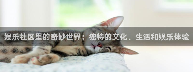 500网足球比分直播：娱乐社区里的奇妙世界：独特的文化、生活和娱乐体验