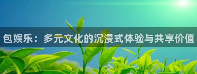 500网比分查询技巧：包娱乐：多元文化的沉浸式体验与共享价值