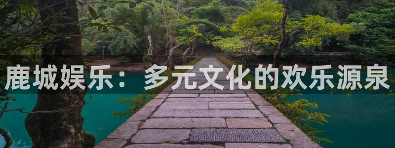 500网球赛：鹿城娱乐：多元文化的欢乐源泉