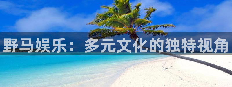篮球比赛结果查询500网：野马娱乐：多元文化的独特视角