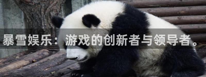 足球比赛结果500网直播：暴雪娱乐：游戏的创新者与领导者。