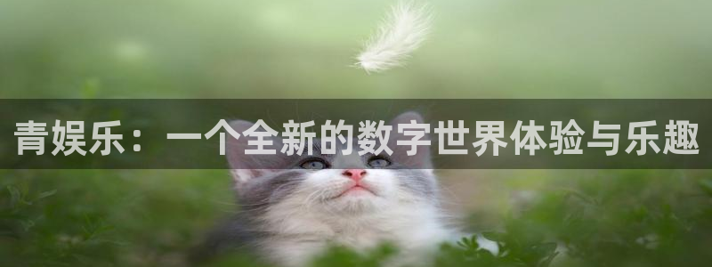 足球比赛直播500网：青娱乐：一个全新的数字世界体验与乐趣