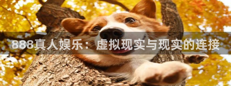 500网混合过关：888真人娱乐：虚拟现实与现实的连接