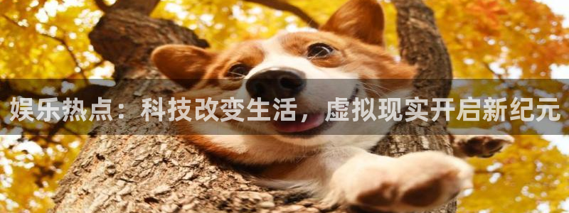 500网混合过关：娱乐热点：科技改变生活，虚拟现实开启新纪元