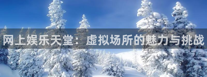 即时比分捷报比分500网：网上娱乐天堂：虚拟场所的魅力与挑战